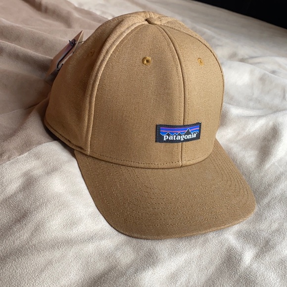 Mens Patagonia Insulated Tin Shed Cap 